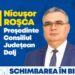 Nicușor Roșca:Doljul are nevoie de investițiile susținute în infrastructura rutieră